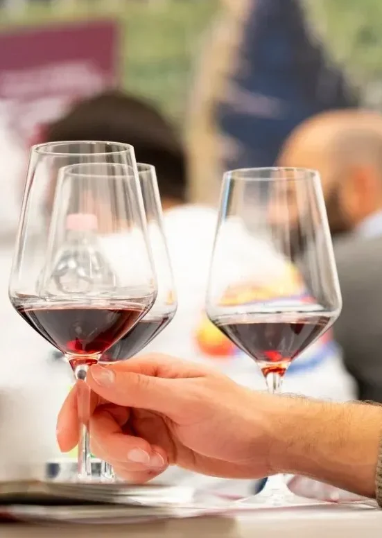 Barolo Essentials - Casa Barolo ore 20.00